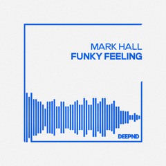 Mark Hall - Da Funky Feeling