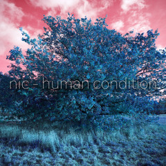 Human Condition