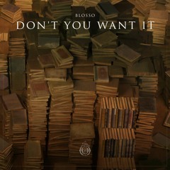 Blosso - Don't You Want It