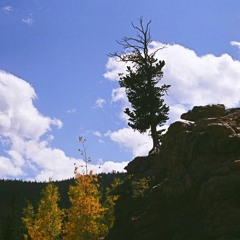 Every Leaf Falls Again