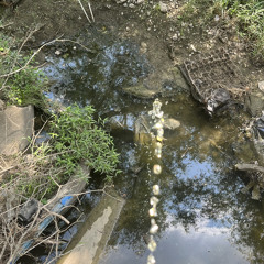 369 (soul searching)