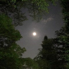 Playboi Carti - Glock (Slowed+Reverb)