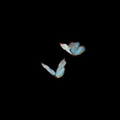 Guaa ft Hongoroo - Lemorna ( Cover by Amirln )