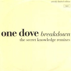 One_Dove_-_Breakdown_Secret_Knowledge_Light_mix_(mp3.pm).mp3
