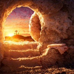 The Gift of Life