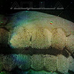 Aquila - Grill
