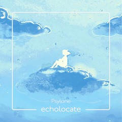 Echolocate