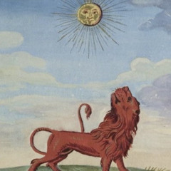 sunseeker (unreleased)