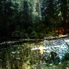 Fade 2 view - Life in Mono (Thaddeus Remix)