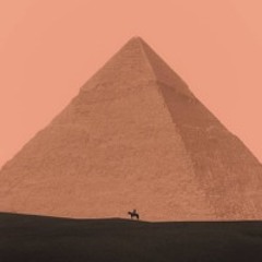 The Pharaoh's Secret Set: NJM B2B SYF