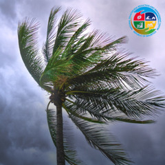 Communiqué de la National Emergency Operations Command