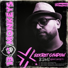 Sekret Chadow - Bailaremos En La Sombra (Original Mix)