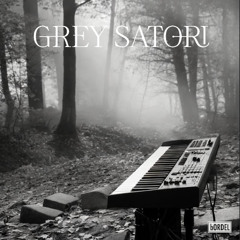 PREMIERE: Grey Satori - No Regrets (NEWEM Remix) [bORDEL Records]