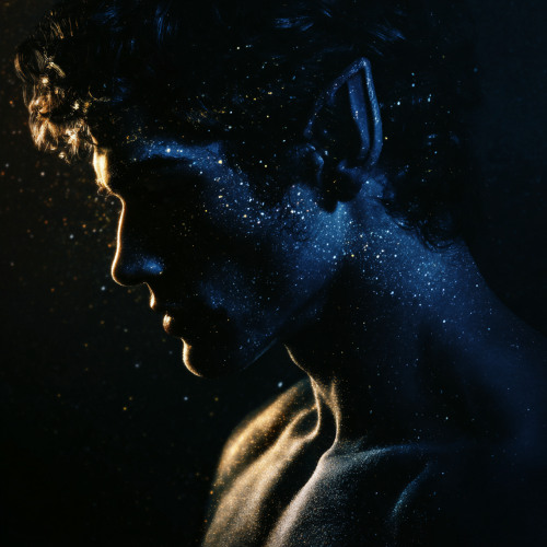 Logic and Love: A Vulcan Heart