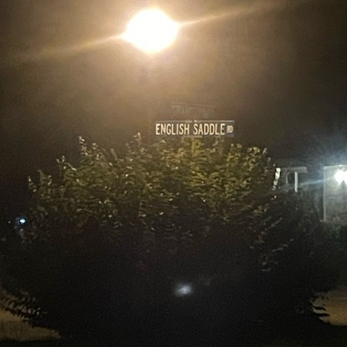 - alone @ MIDNIGHT -