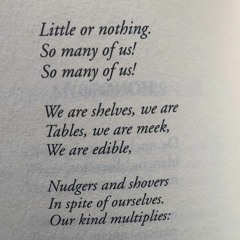 MUSHROOMS - Sylvia Plath's poem (cover)