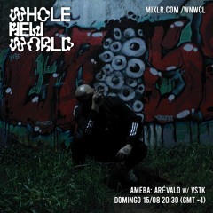 "Ameba" w/ VSTK @wnwcl