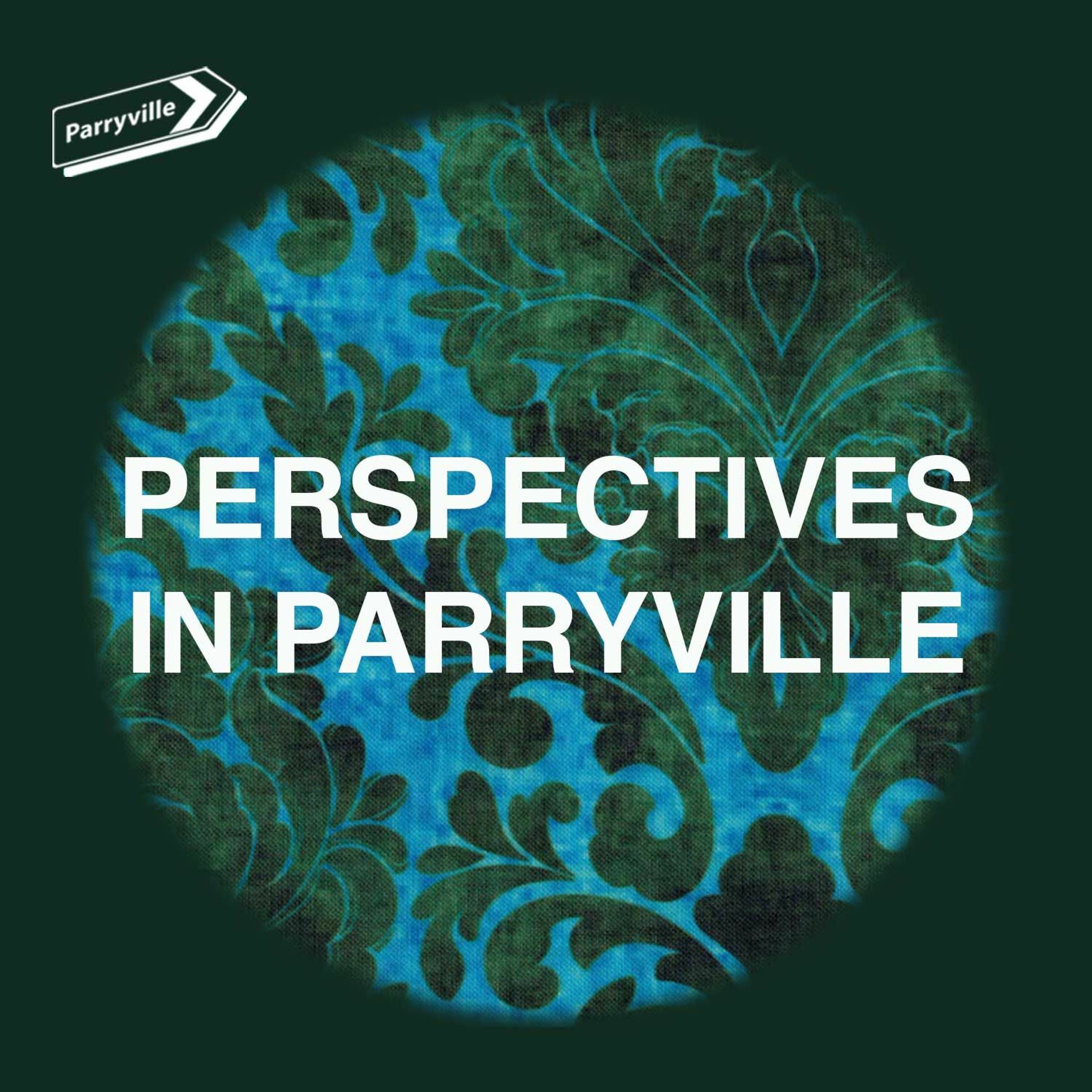 Perspectives in Parryville