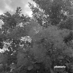 plantario