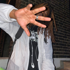 like the surfer - [Attic stien]