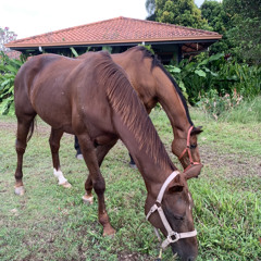 Fengtau VOL 2 (MUKA SHEDAP) N0NSTOP MIXTAPE by AboYz7z M1K3Y.mp3