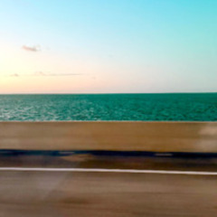 What the fuck is going on?