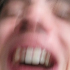 Big Goose Game: J22K X Orient