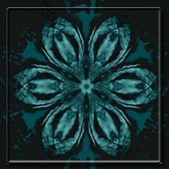 SAZE - EL DOJO