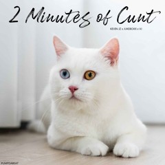 Two Minutes Of Cunt - Kevin x Jukeboxx x VJ