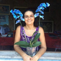 10 SABEDORIA DO REI SALOMÃO