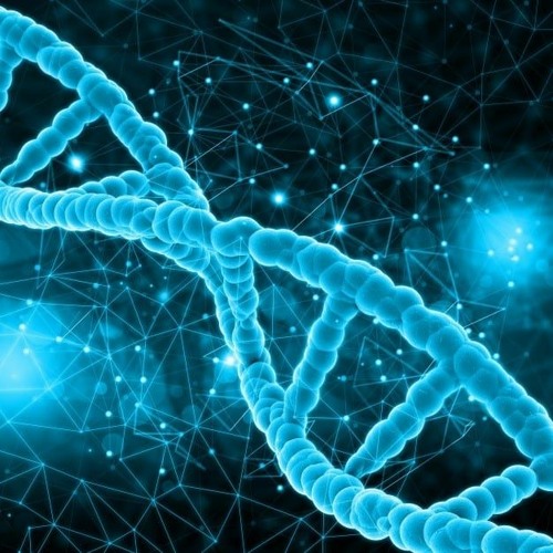 Missing Helices 148 bpm