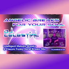 DJ Celestial-Angelic Breaks For Your Soul (Intelligent MelodicBreaks & Classic Funky VocalBreaksMix)
