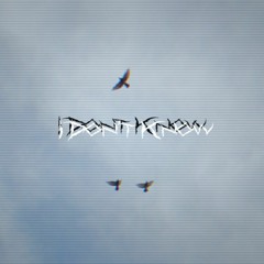 I Don't know.mp3