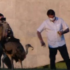 440 - Arm the Emus (7/27/20)