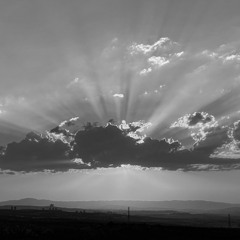 The Life, Death, or Love Theme