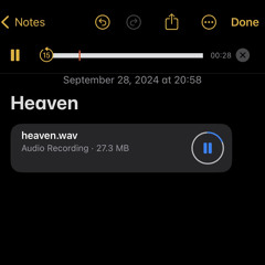 heaven ft.soosa