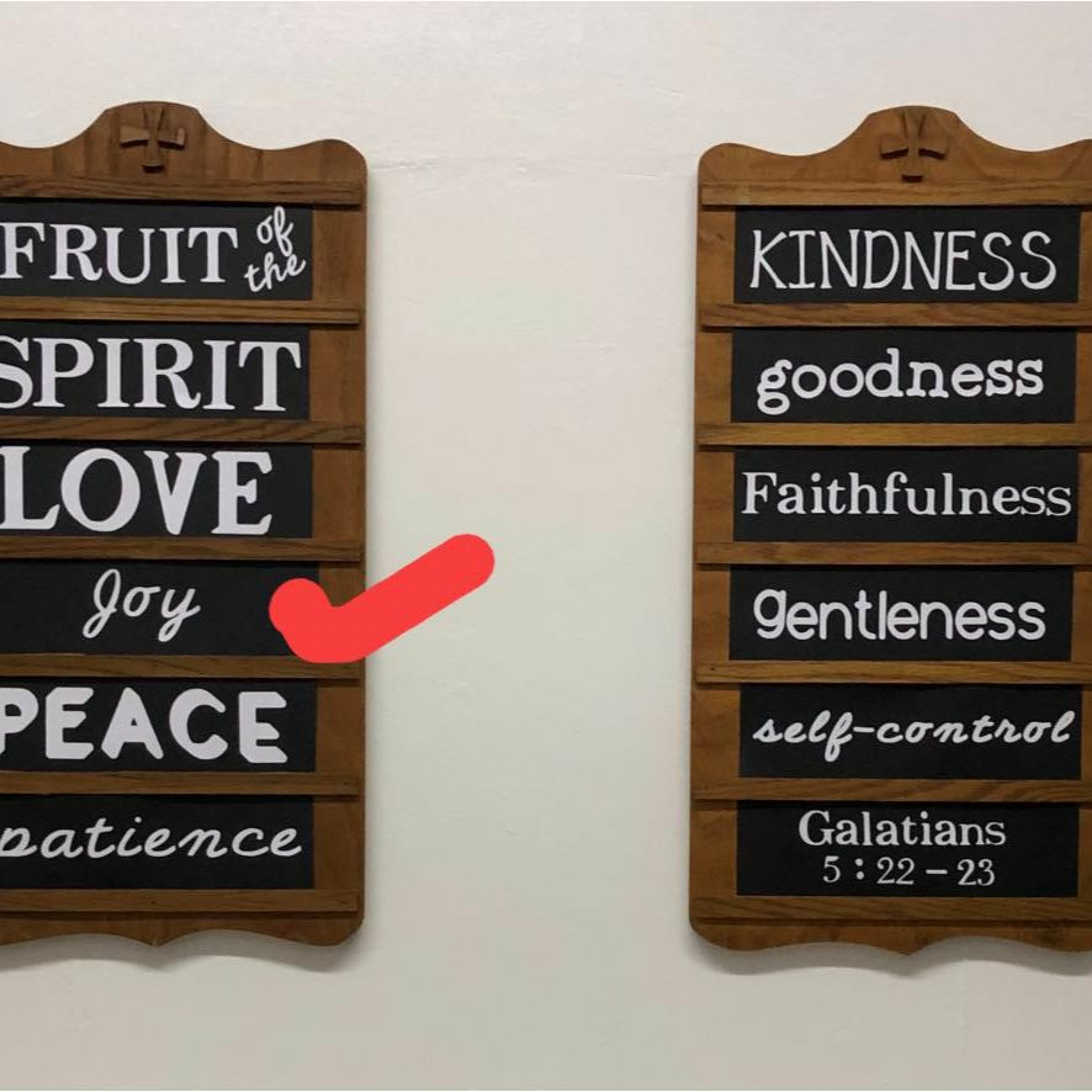 "Fruits Of The Spirit: Joy" (7-17-22) episode artwork