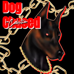 Dog Chased