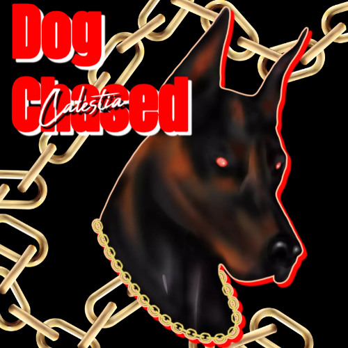 Dog Chased