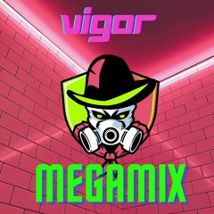 Vigor MEGAMIX 1