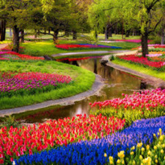 Il giardino dell’amore