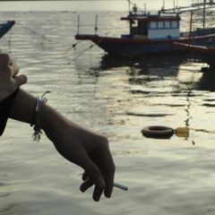 Đủ Lông Đủ Cánh