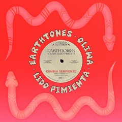 Earthtones - Cumbia Serpiente (instrumental)