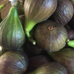 March 3rd (Woodlice)