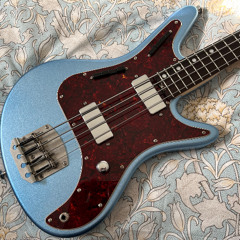 Pest Control (PP 2025 Lvl 3, #1) - 3_24_25, 23.08