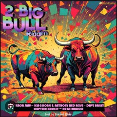 2 Big Bull Riddim Mixed By