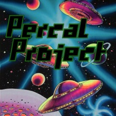 Percal Project 2x10 Radio 90 Valencia (II)