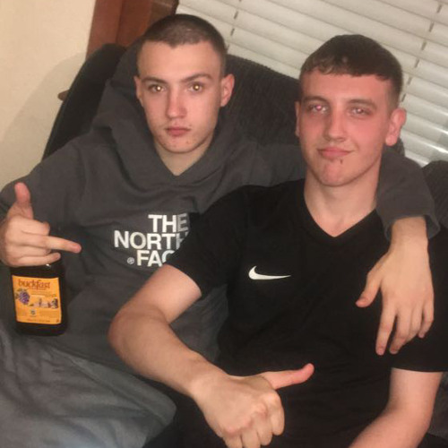 Surrender To Komodo 2019