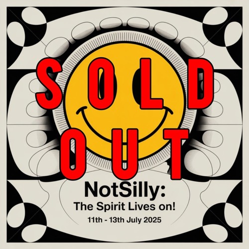 nd3c3nt @ NotSilly 2025 [live]