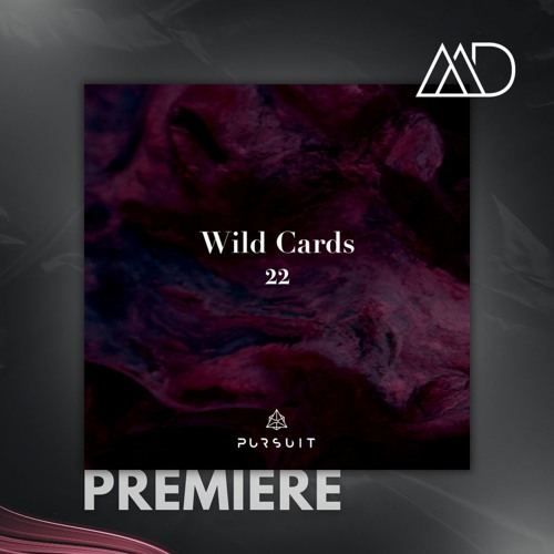 PREMIERE: Maxim Sheremetev & Beil  - Sirius (Extended Version) [Pursuit]